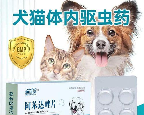 猫咪打驱虫针后出现哪些反应？如何正确处理？