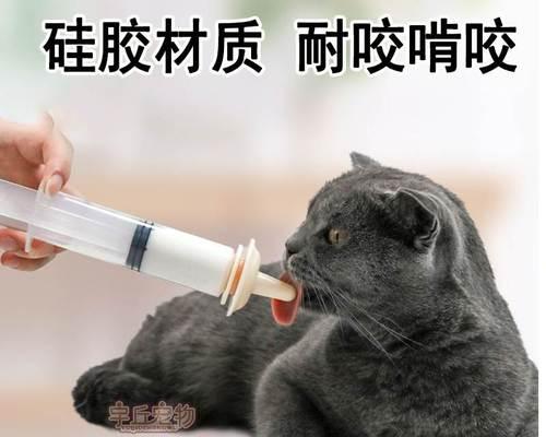 猫咪打针前能吃饭么？打疫苗前后饮食注意事项是什么？