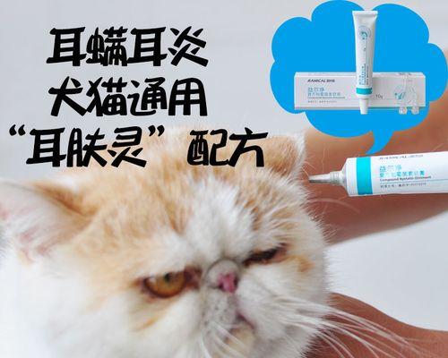 猫咪耳朵边有硬硬的是怎么回事？如何处理？