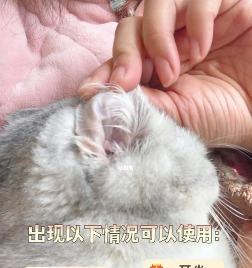 猫咪耳朵边有硬硬的是怎么回事？如何处理？