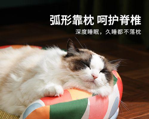 猫咪放房间怎么消毒？有效消毒方法有哪些？