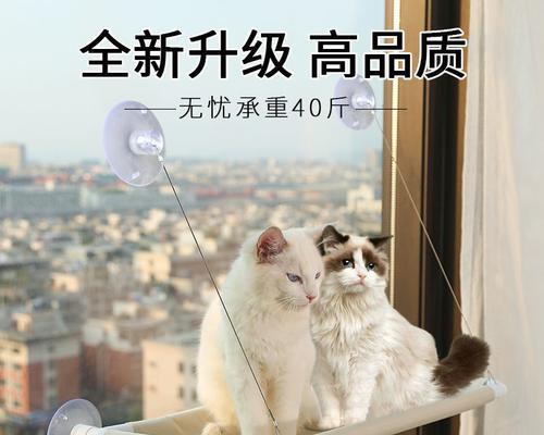 猫咪应该放在阳台还是厕所？如何选择最佳地点？