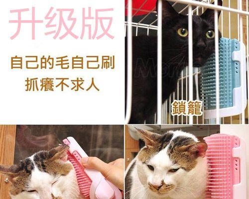 猫咪浑身痒时应该挠吗？如何正确处理宠物皮肤瘙痒问题？