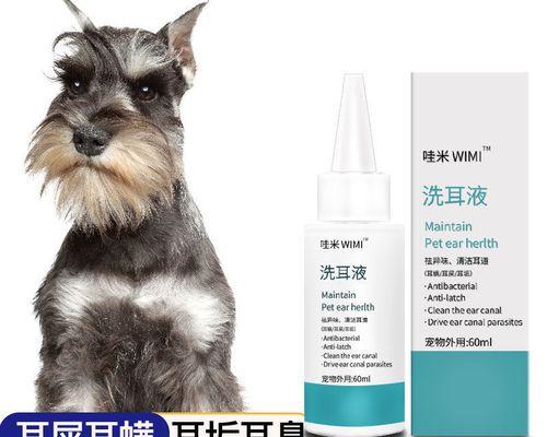 猫咪可以吃什么药好？常见猫咪疾病及用药指南？