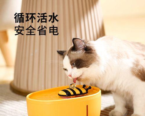 猫咪上完厕所抓挠地面的原因是什么？如何解决？