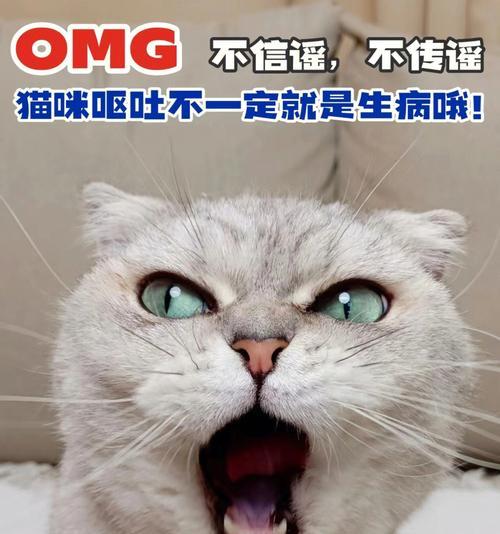 猫咪生病了不吃东西怎么办？如何正确喂食？