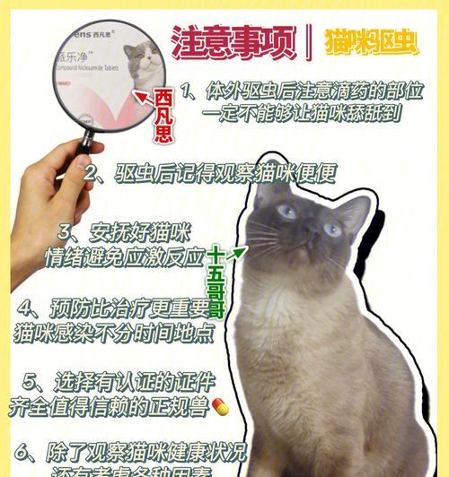 猫咪体外驱虫哪种好？如何选择最合适的驱虫产品？