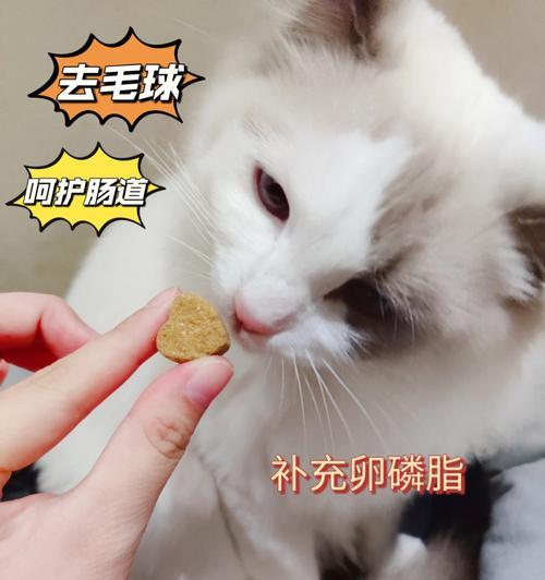 猫咪吐毛球带血是怎么回事？如何处理？