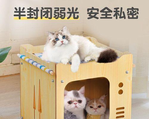 猫咪为什么经常换窝？了解其行为背后的原因是什么？