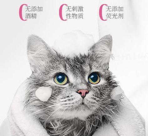 猫咪洗澡沐浴露洗脸怎么选？常见问题有哪些？