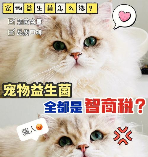 猫咪益生菌可以干吃吗？干吃益生菌对猫咪有什么影响？