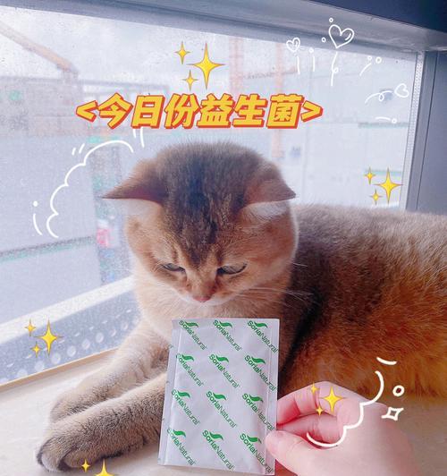 猫咪益生菌可以干吃吗？干吃益生菌对猫咪有什么影响？