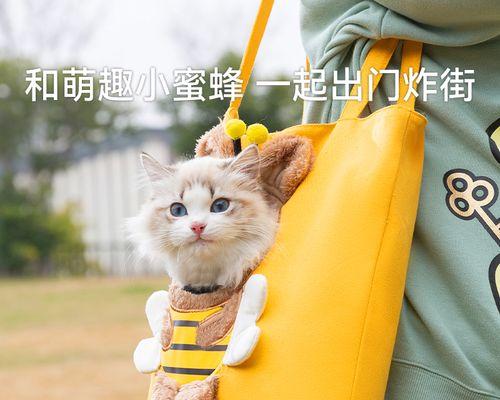 猫咪胀肚子怎么回事？如何判断和处理？