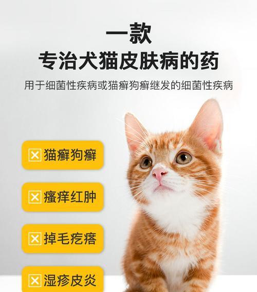 猫咪螨虫感染怎么办？有效预防和治疗方法是什么？