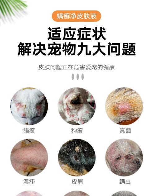 人染上猫癣用什么药？如何正确选择治疗猫癣的药物？