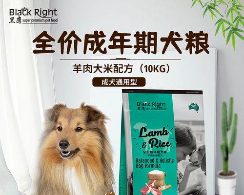 四斤狗粮泰迪吃多久合适？如何计算合适喂食量？