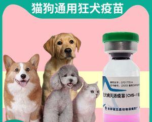 小狗刚打完狂犬疫苗需要注意什么？多久后可以洗澡？