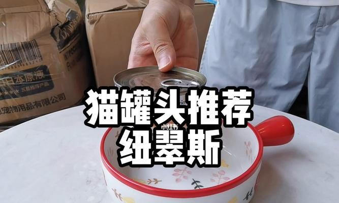 小猫罐头一次吃完好吗？如何正确喂食小猫罐头？