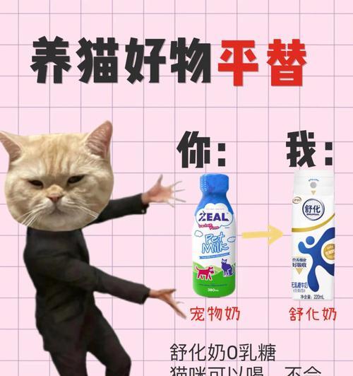 小猫喝舒化奶安全吗？需要注意什么？