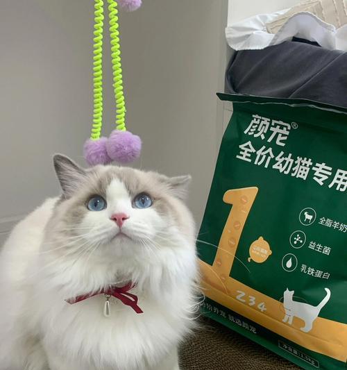 小猫排便健康对照图是什么？如何判断小猫排便是否正常？