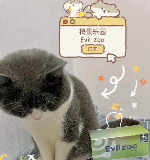 小猫需要什么营养品？如何为宠物猫选择合适的补充品？