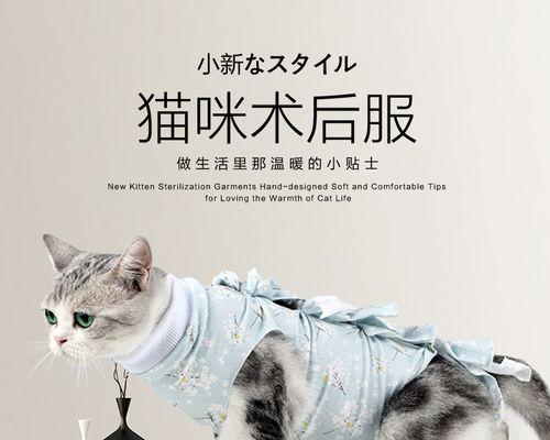 小猫遗传公猫的身体有哪些特征？如何影响小猫的成长？