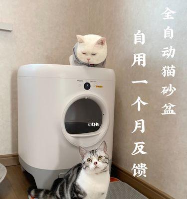 小猫用什么猫砂盆好？如何选择适合的猫砂盆？