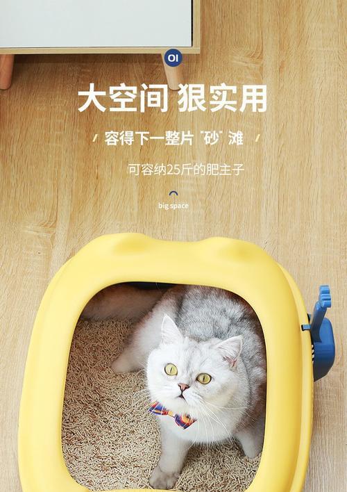 小猫用什么猫砂盆好？如何选择适合的猫砂盆？