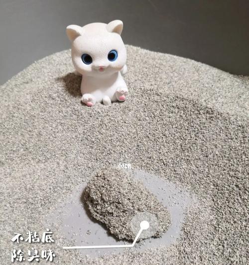 小猫在猫砂里拉不出来怎么办？正确引导方法是什么？