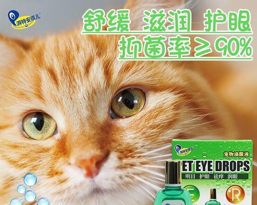 给小猫上滴眼液的正确方法是什么？需要特别注意哪些事项？