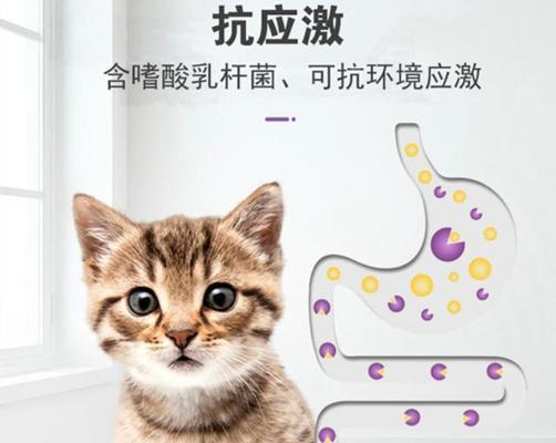 怎样给小猫调理肠胃？有效方法和注意事项是什么？