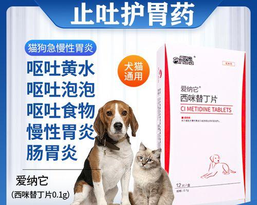 怎样给小猫调理肠胃？有效方法和注意事项是什么？