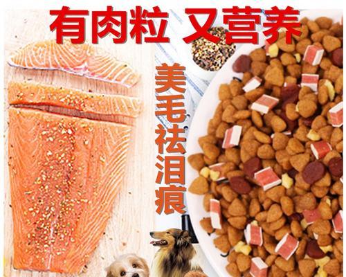 10个月泰迪每天需要多少狗粮？喂食量如何计算？