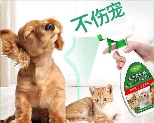 45天的小猫能进行驱虫吗？驱虫的最佳时间和方法是什么？