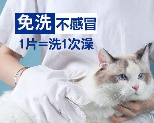 4个月大的猫咪需要洗澡吗？洗澡的正确时机和方法是什么？