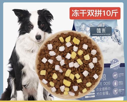 50天大的边境牧羊犬每天应该吃多少狗粮？