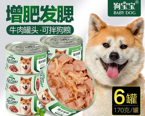 6个月柴犬每天应该吃多少狗粮？如何计算合适份量？