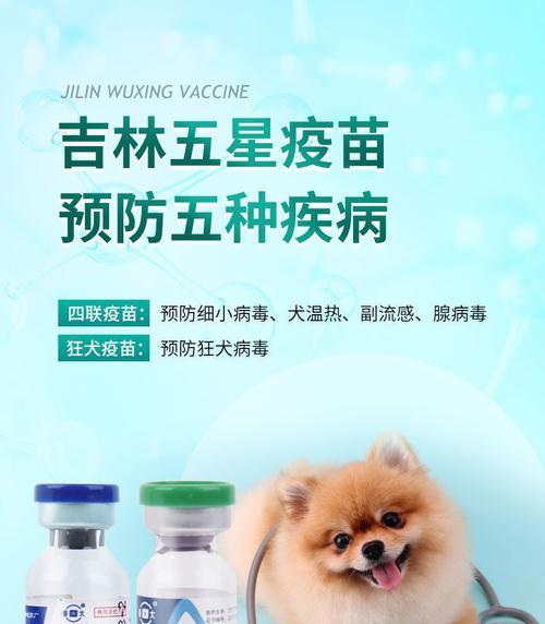 6个月大的狗狗四联疫苗注射方法是什么？注射后需要注意哪些事项？