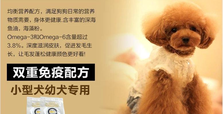 比熊犬适合吃哪种天然狗粮？如何选择适合比熊的狗粮品牌？