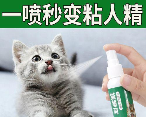 猫咪打架后如何安抚？安抚猫咪的有效方法是什么？