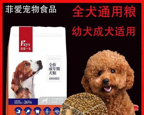 多大的狗适合转吃成犬狗粮？如何选择合适的狗粮？