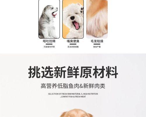 多大的狗适合转吃成犬狗粮？如何选择合适的狗粮？