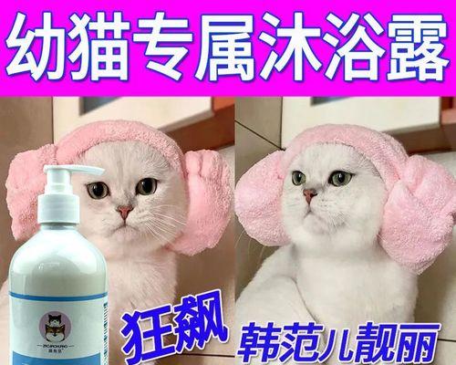 刚生的小猫甩液体是什么原因？如何正确处理？