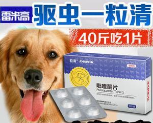 给狗狗买什么驱虫药好？如何选择合适的宠物驱虫产品？