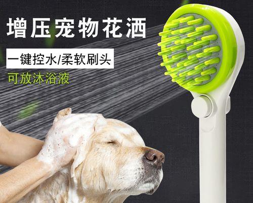 给狗狗洗澡需要准备哪些用品？如何确保洗澡过程安全舒适？