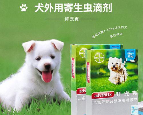 给狗狗用什么能去跳蚤？有效去除跳蚤的家用方法有哪些？