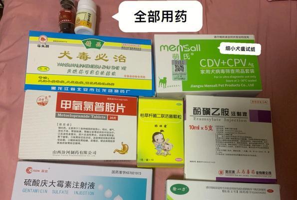 给狗狗注射胃复安剂量多少合适？常见问题有哪些？