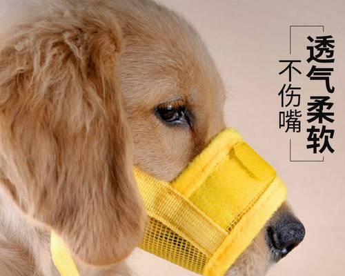 给幼犬喂什么奶粉好吗？选择合适的幼犬奶粉指南