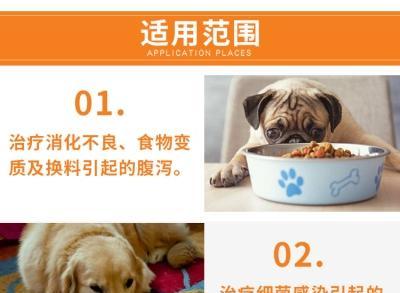 狗肠子堵住了怎么治疗？常见症状及家庭急救方法是什么？