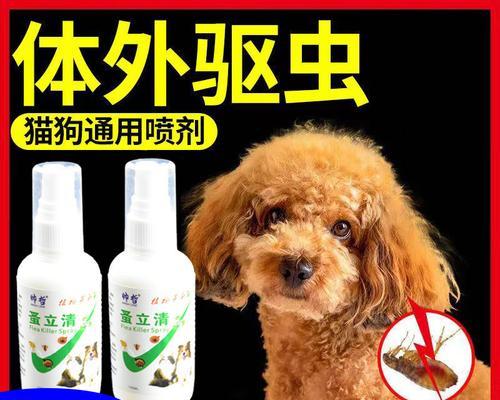 狗狗鼻孔发炎用什么药？如何正确选择治疗方案？